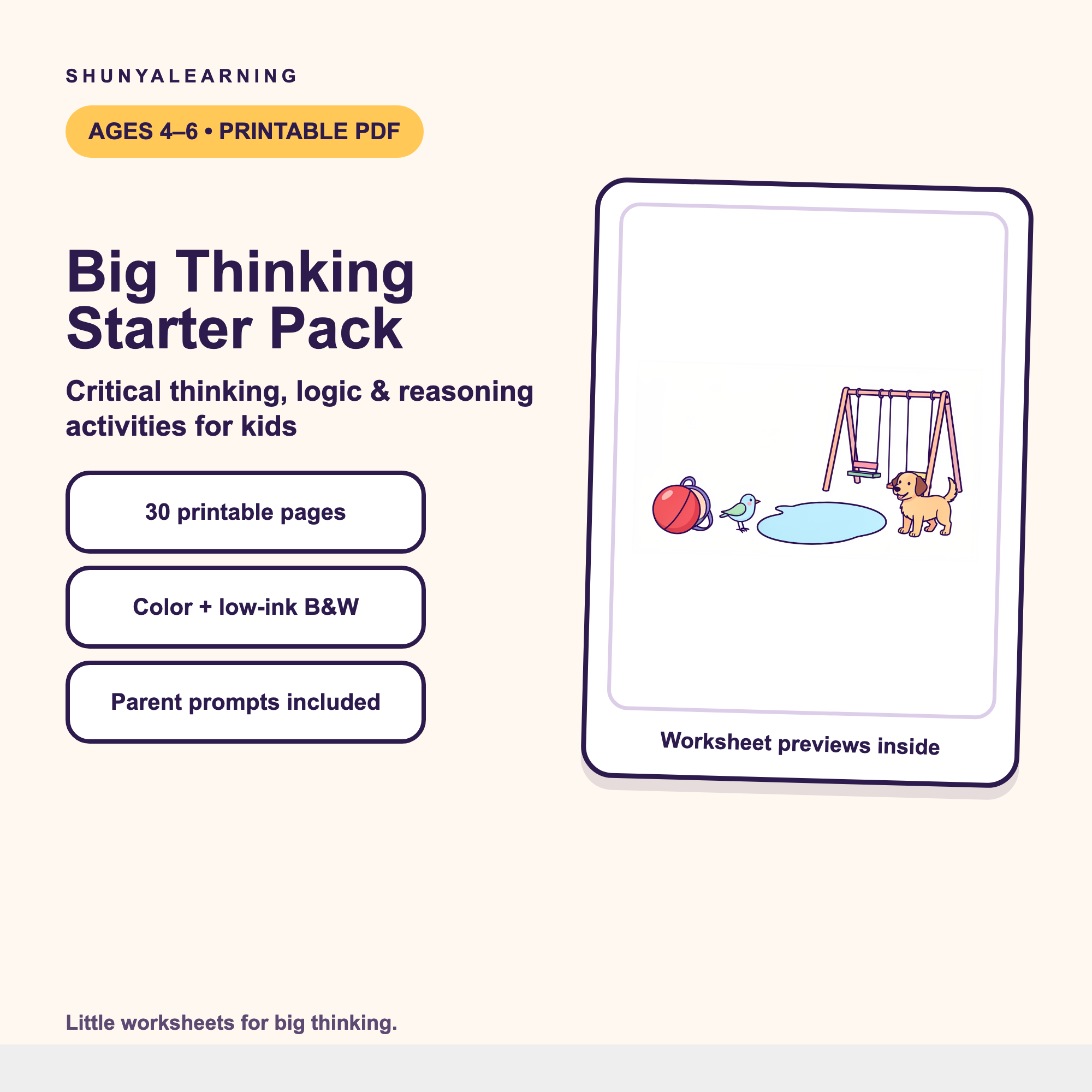 Big Thinking Starter Pack printable preview